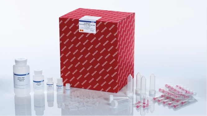 Набор  реагентов для очистки РНК из экзосом exoRNeasy Serum/Plasma Starter Kit