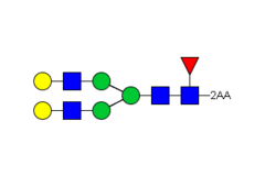 Стандарт Glyko® 2-AA NA2F (G2F) (100 pmol)