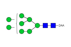 Стандарт Glyko® 2-AA Oligomannose 8 (Man8) (100 pmol)