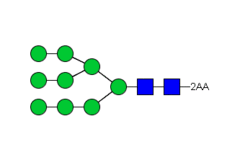 Стандарт Glyko® 2-AA Oligomannose 9 (Man9) (100 pmol)