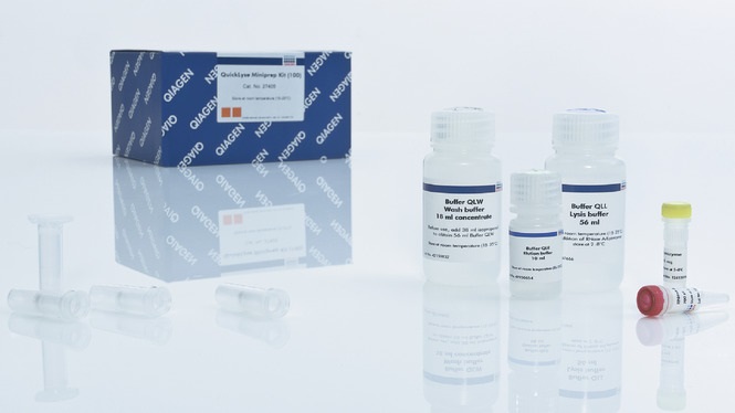 Набор реагентов для быстрого выделения плазмидн.ДНК QuickLyse Miniprep Kit (250)