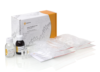 Набор CleanRNA Standard для очистки препаратов суммарной РНК от низкомолекулярных фракций, 25 реакций