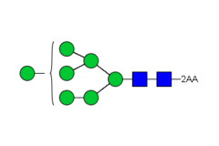 Стандарт Glyko® 2-AA Oligomannose 7 (Man7) (100 pmol)