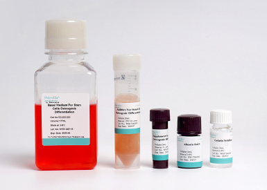 Набор для остеогенной дифференцировки МСК человека (из костного мозга), 200 мл