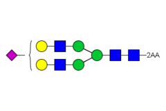Стандарт Glyko® 2-AA A1 (G2S1) (100 pmol)