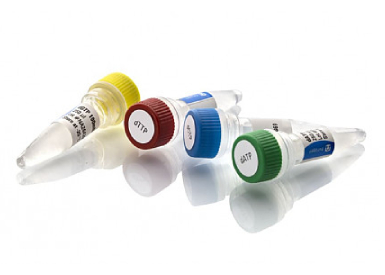 Набор dNTP (концентрация каждого - 100 мМ, количество каждого - 25 мкмоль), 4 х 250 мкл