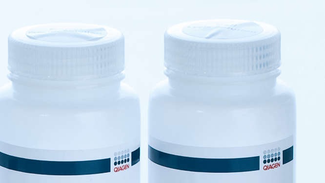 Буфер для отмывки (концентрат)