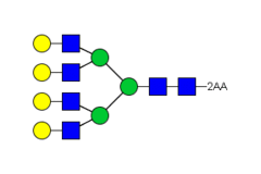 Стандарт Glyko® 2-AA NA4 (G4) (100 pmol)