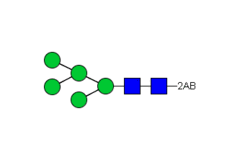Стандарт Glyko® 2-AA Oligomannose 5 (Man5)