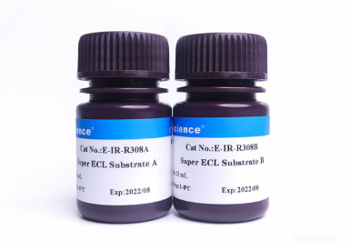 Хемилюминесцентный субстрат пероксидазы хрена Super ECL Substrate для вестерн-блоттинга и ИФА, чувствительность 1 пг, 100 мл